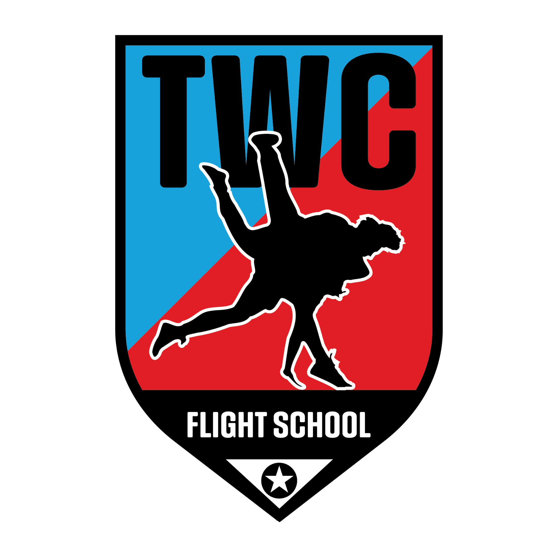 TWC Flight School patch